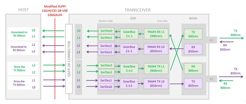 100GBASE-SRDB scheme.png